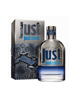 Roberto Cavalli Just Cavalli for Him, Toaletná voda 90ml - Tester