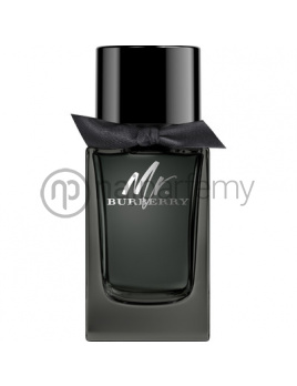 Burberry Mr. Burberry, Parfumovaná voda 150ml